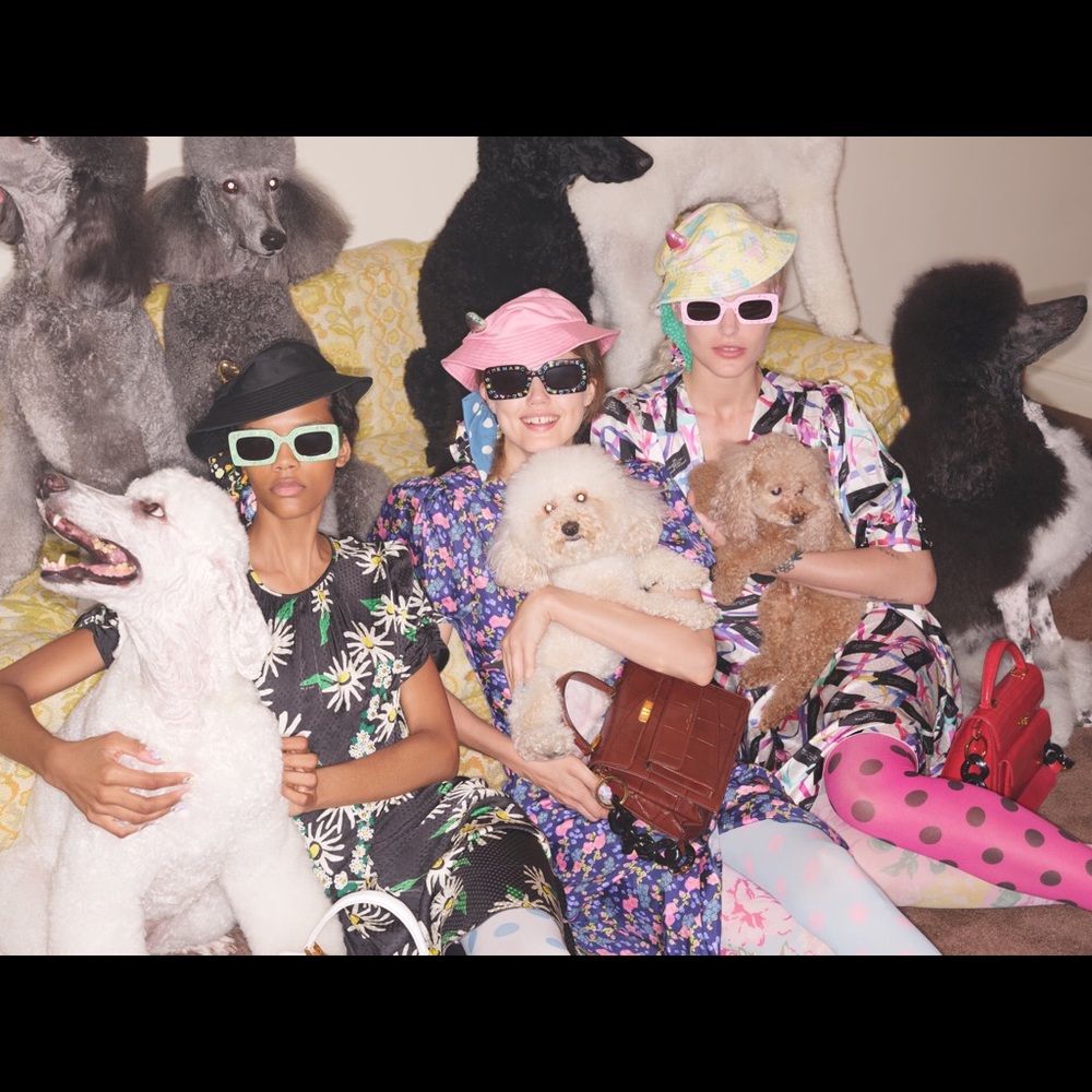 Meet your Posher, Sean